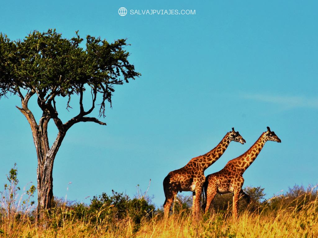 viajes-a-africa-desde-espana